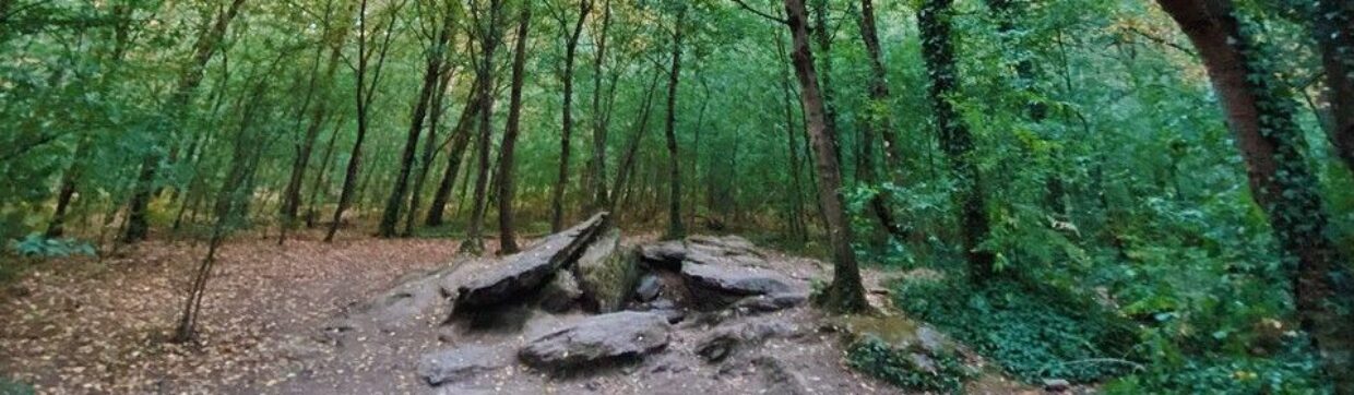 Tombeau du Géant entouré d'arbre - été 2022